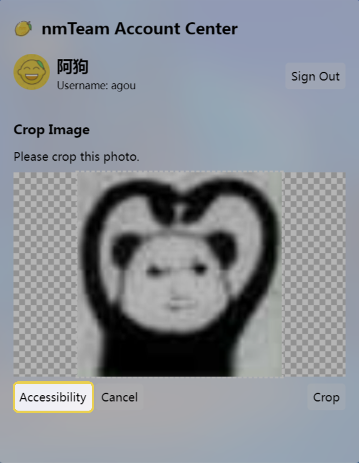 When nmTeam Account Center is cropping avatars, users who are inconvenient to use a mouse can use keyboard keys to operate.