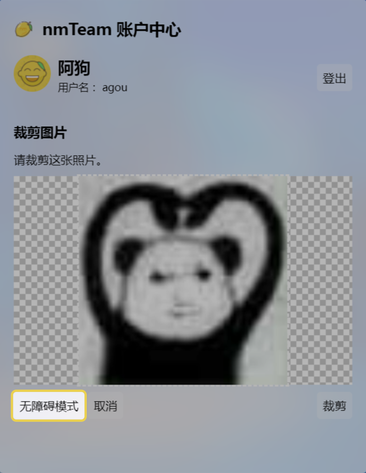 在 nmTeam Account Center 裁剪头像时，不便使用鼠标的用户可以使用键盘按键操作。